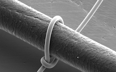 A human hair and a copper alloy wire measuring 10 μm in diameter