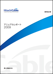 アニュアルレポート 2009