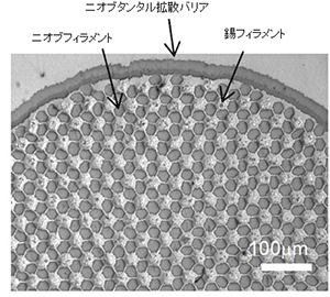 線径1.31mmのNb3Sn超電導線材の断面写真